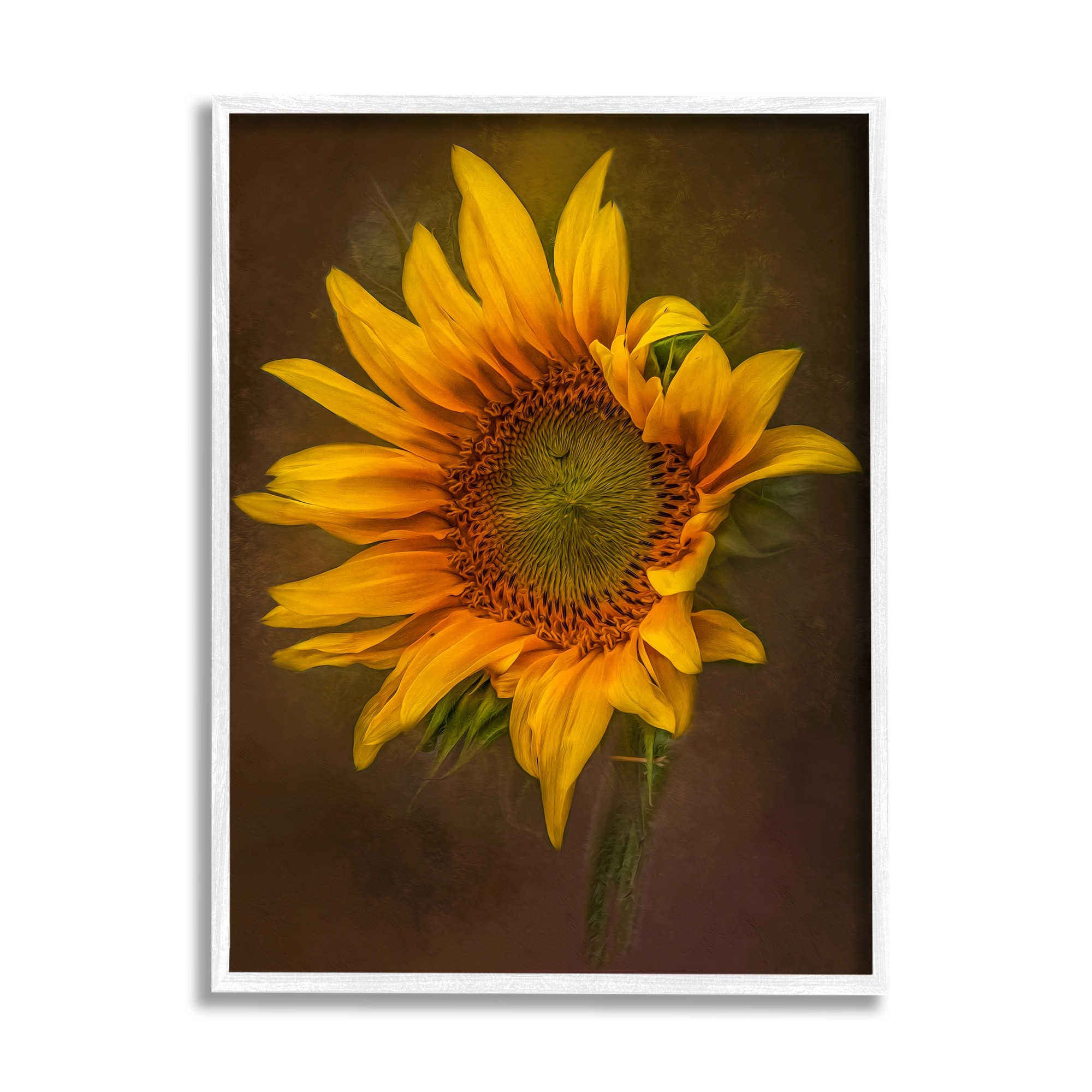 Stupell Industries Modern Detailed Sunflower Petals Botanical & Floral Painting White Framed Art Print Wall Art