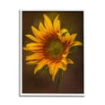 thumbnail image 1 of Stupell Industries Modern Detailed Sunflower Petals Botanical & Floral Painting White Framed Art Print Wall Art, 1 of 5