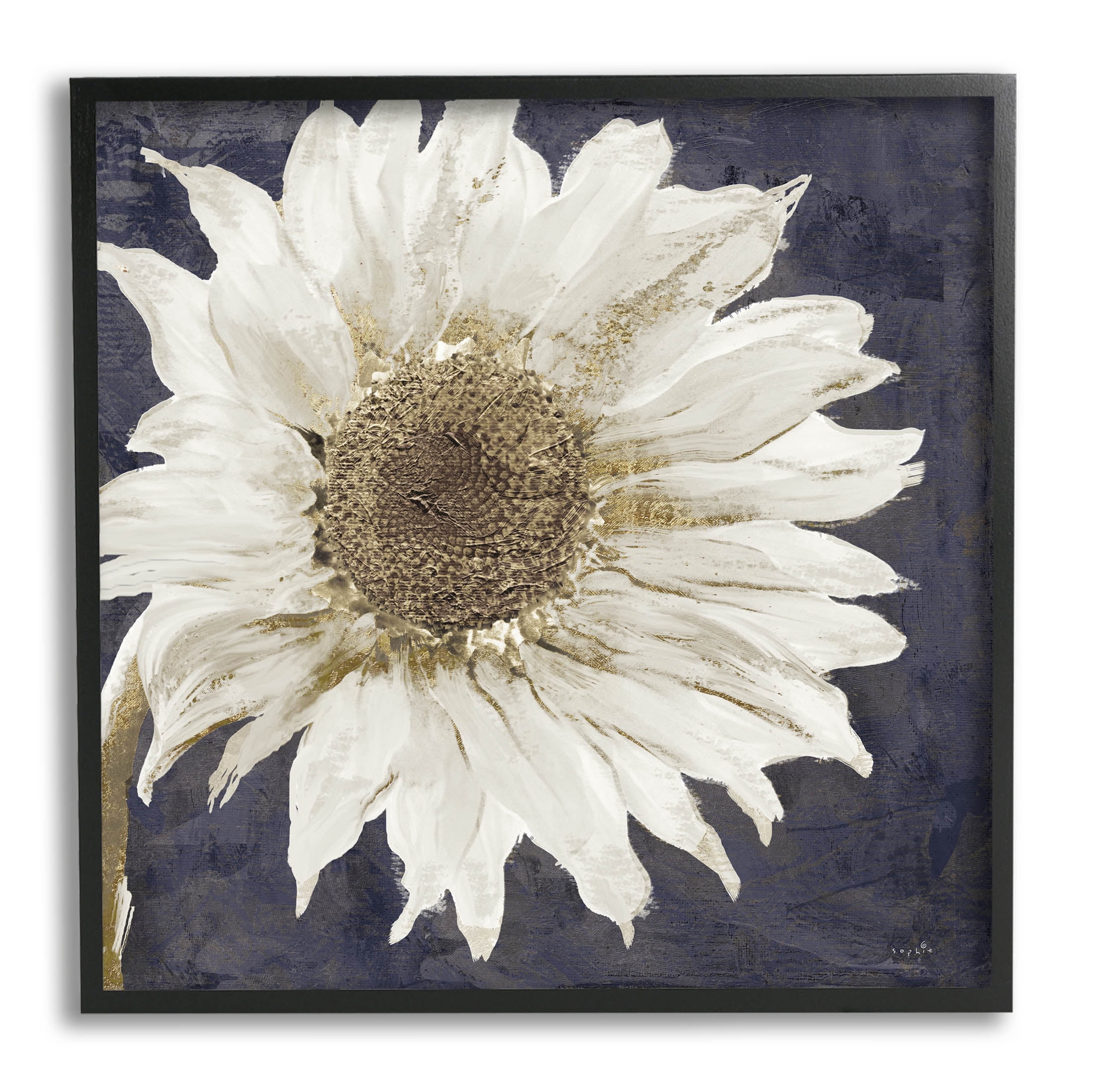 Stupell Industries Modern Distressed Daisy Graphic Art Black Framed Art Print Wall Art, Design by Sophie 6