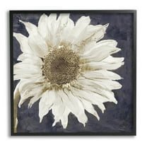 Stupell Industries Modern Distressed Daisy Graphic Art Black Framed Art Print Wall Art, Design by Sophie 6