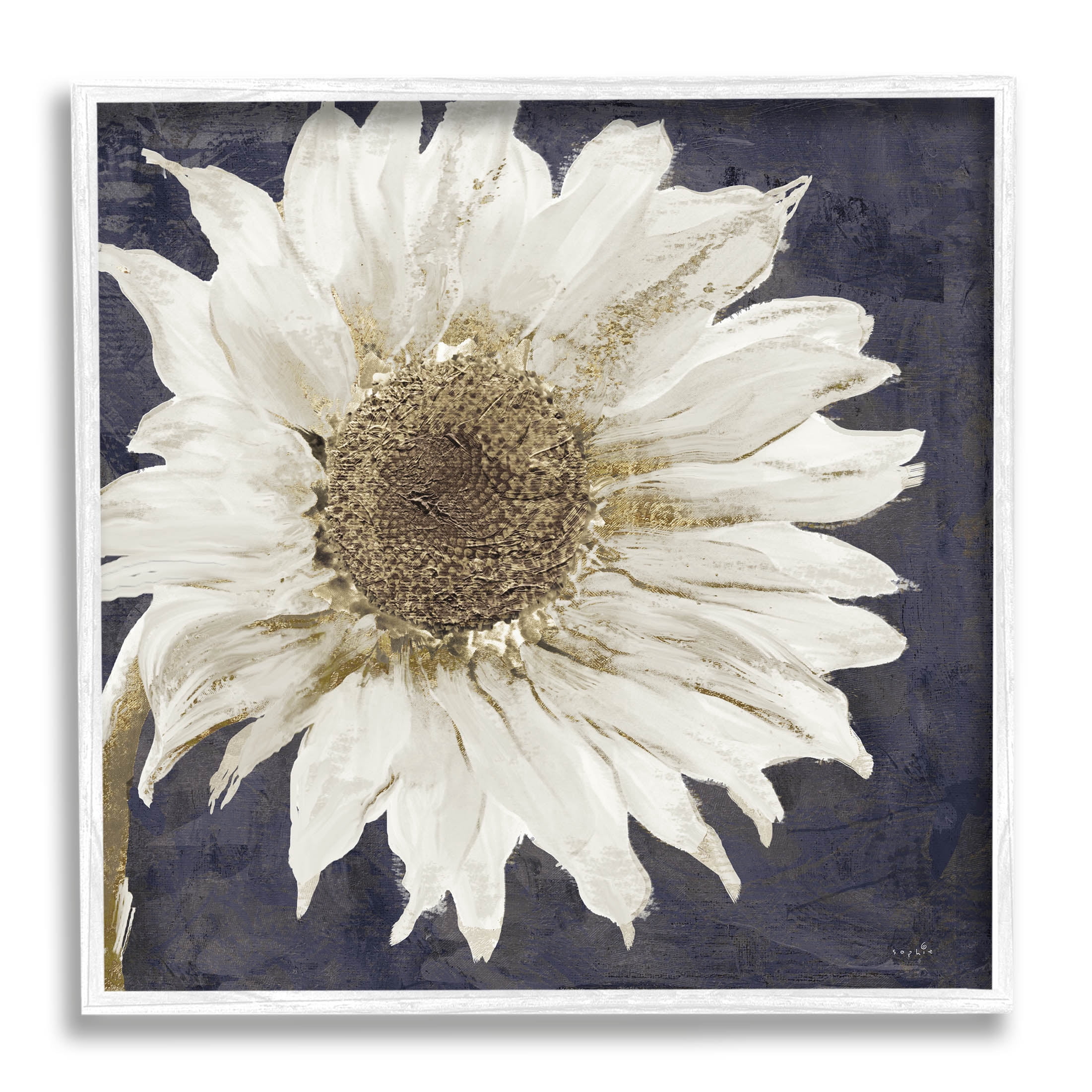 Stupell Industries Modern Distressed Daisy Graphic Art White Framed Art Print Wall Art, Design by Sophie 6