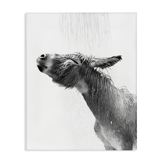 Stupell Industries Modern Donkey Bathroom Splash Canvas Art, 36 x 48, by Annalisa Latella