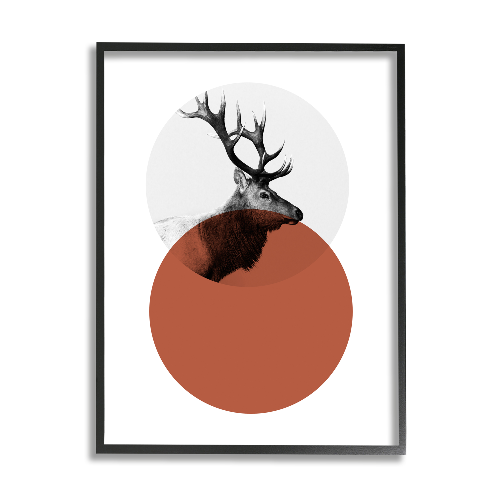 Stupell Industries Modern Elk Portrait Bold Red Terracotta Layered Circle Photography Black Framed Art Print Wall Art, 11x14, by Sisa Jasper