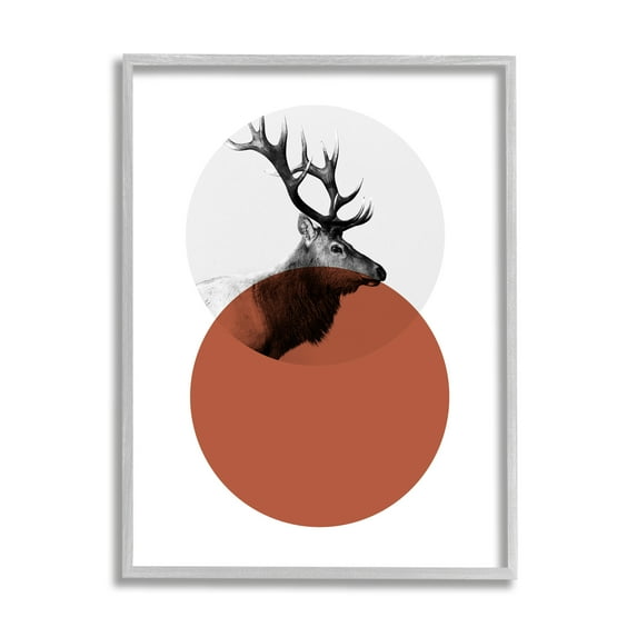 Stupell Industries Modern Elk Portrait Bold Red Terracotta Layered Circle Photography Gray Framed Art Print Wall Art, 11x14, by Sisa Jasper