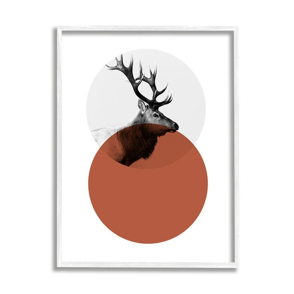Stupell Industries Modern Elk Portrait Bold Red Terracotta Layered Circle Photography White Framed Art Print Wall Art, 16x20, by Sisa Jasper