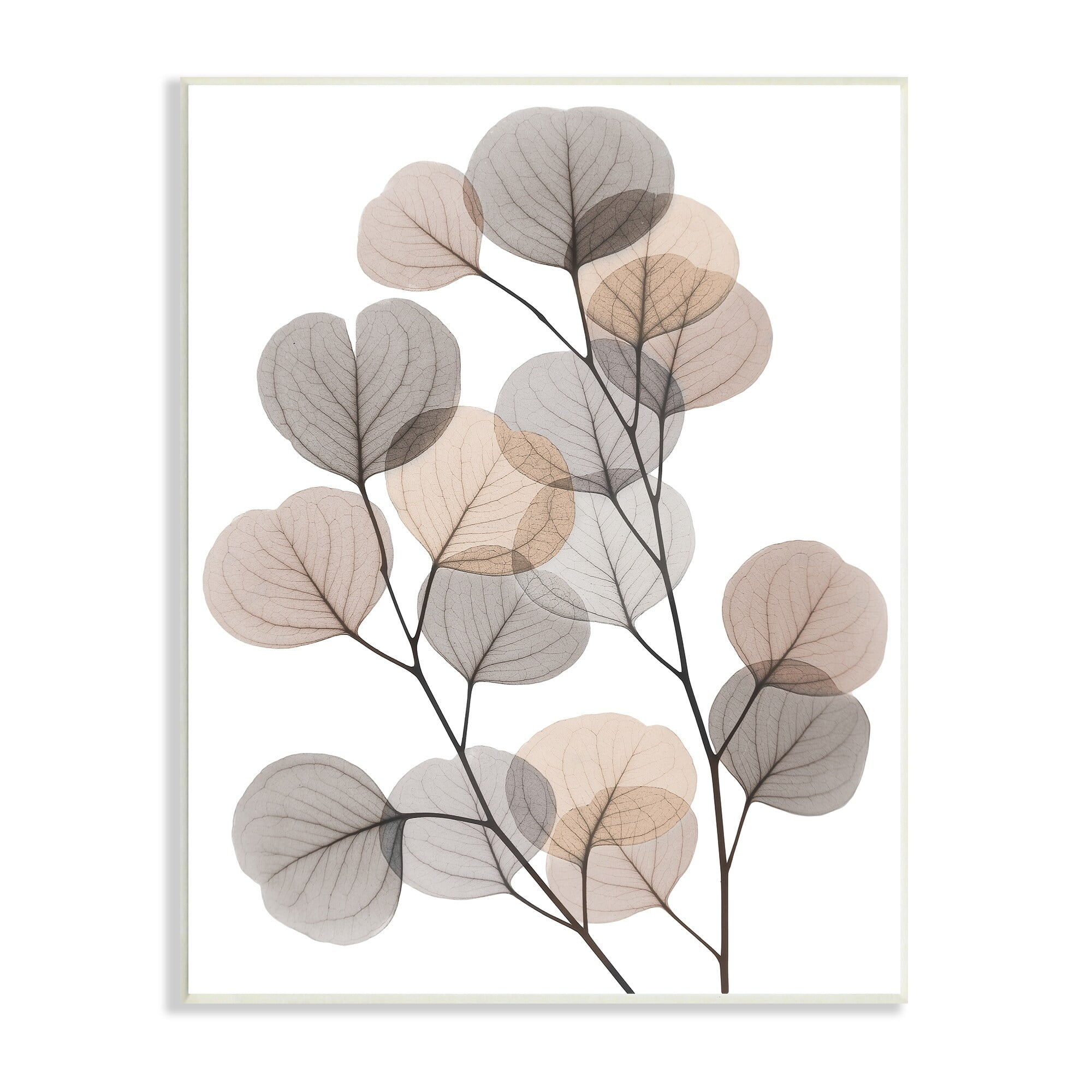 Stupell Industries Modern Eucalyptus Leaf Stems Translucent Brown Grey Leaves, 10 x 15,Design by Albert Koetsier
