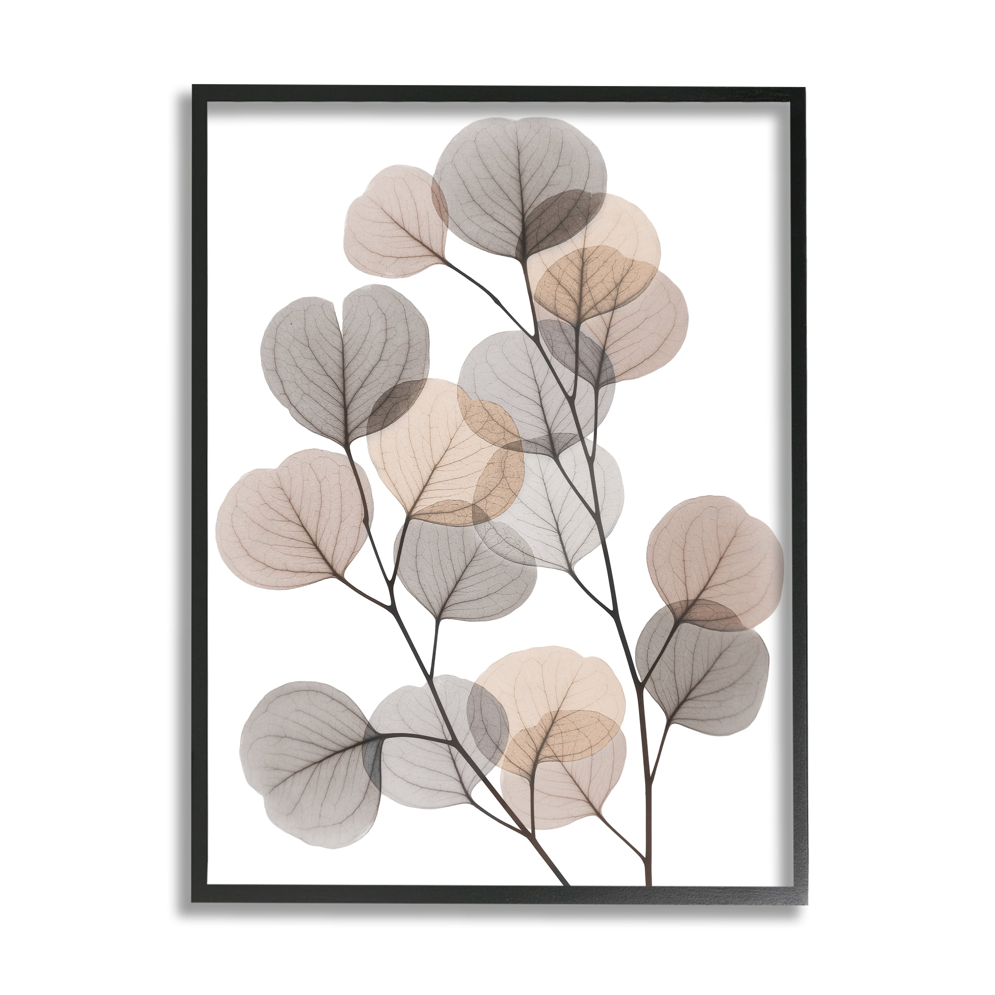 Stupell Industries Modern Eucalyptus Leaf Stems Translucent Brown Grey Leaves, 11 x 14,Design by Albert Koetsier