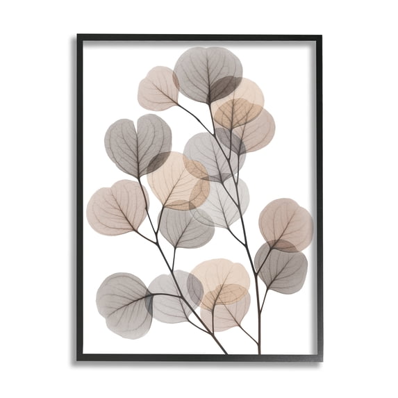 Stupell Industries Modern Eucalyptus Leaf Stems Translucent Brown Grey Leaves, 11 x 14,Design by Albert Koetsier