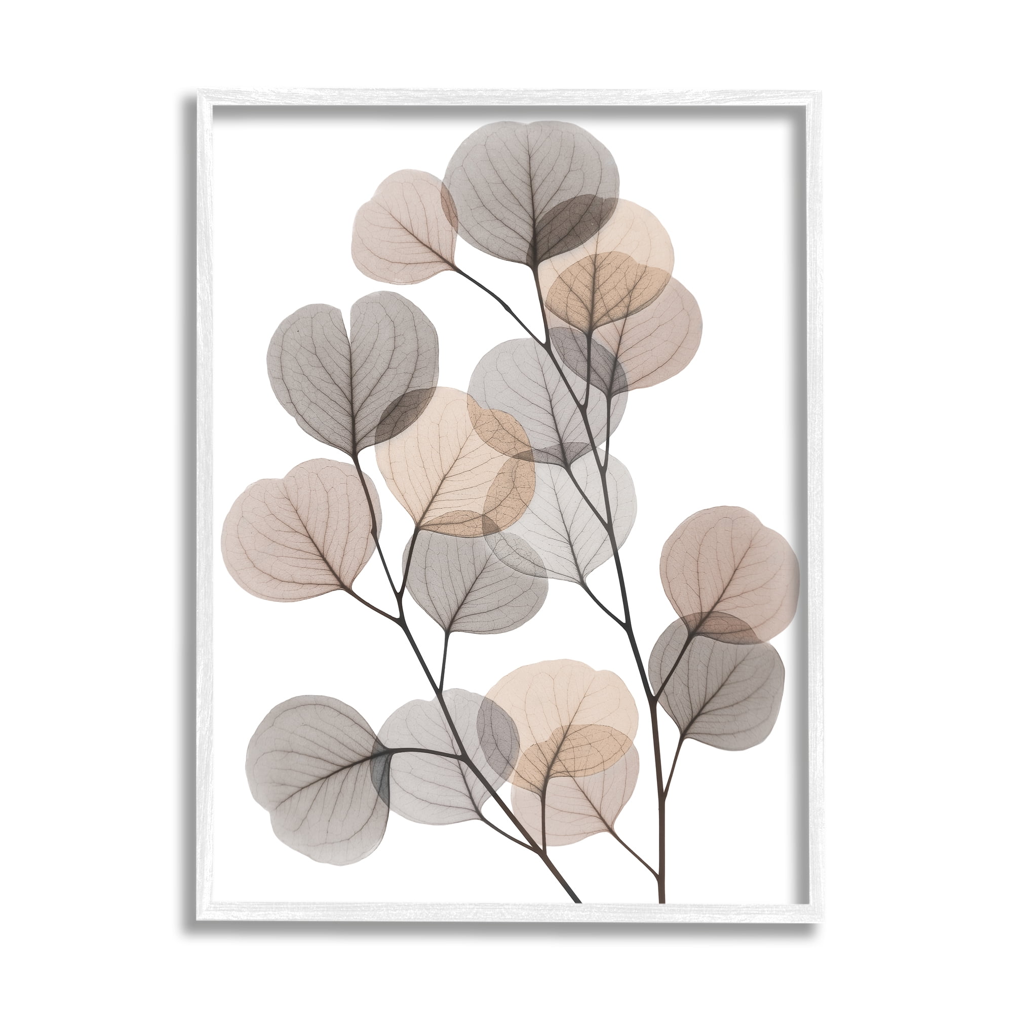 Stupell Industries Modern Eucalyptus Leaf Stems Translucent Brown Grey Leaves, 16 x 20,Design by Albert Koetsier