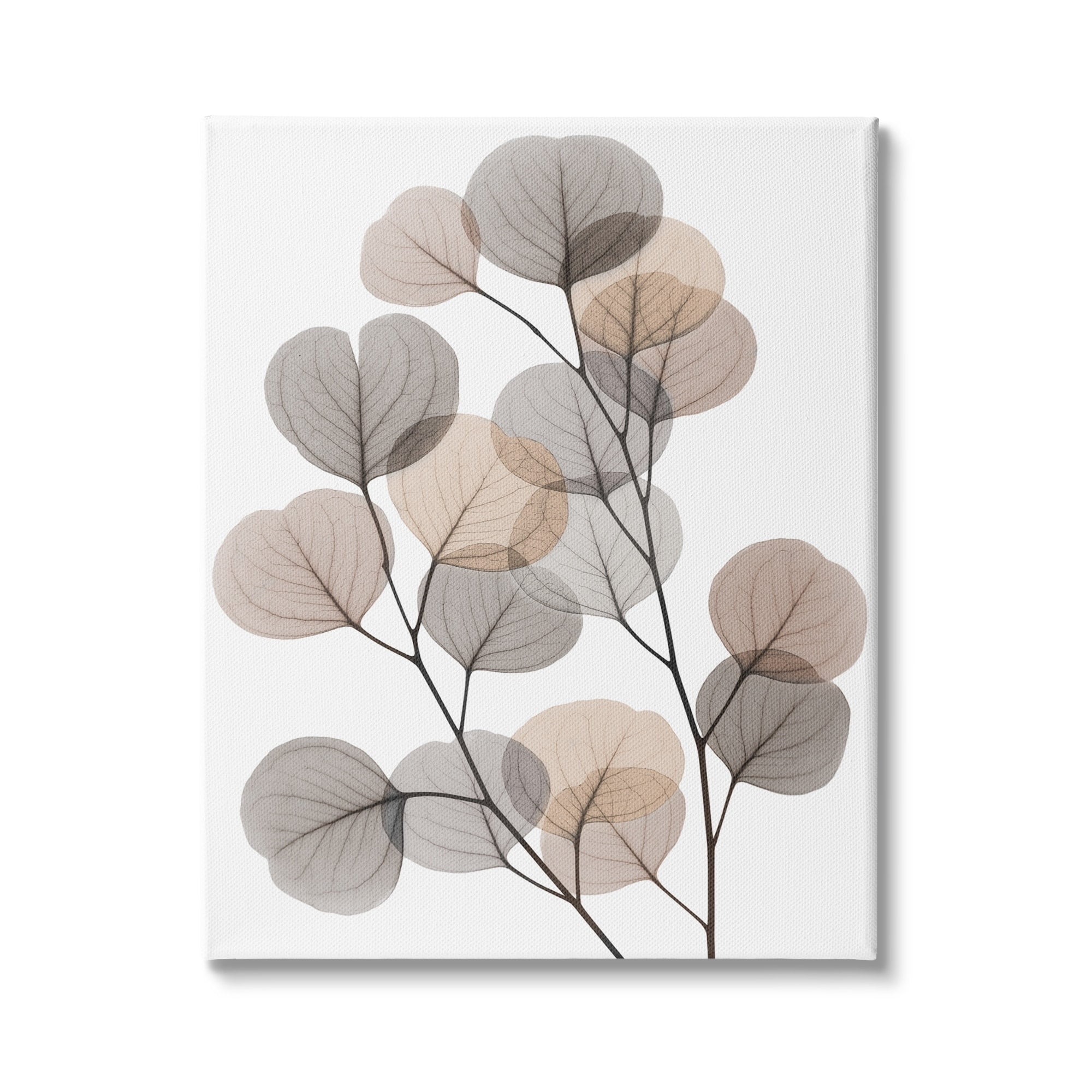 Modern Eucalyptus Leaf Stems Translucent Brown and Grey Canvas Art