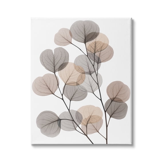Stupell Industries Modern Eucalyptus Leaf Stems Translucent Brown Grey Leaves, 24 x 30,Design by Albert Koetsier