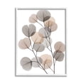thumbnail image 1 of Stupell Industries Modern Eucalyptus Leaf Stems Translucent Brown Grey Leaves, 24 x 30,Design by Albert Koetsier, 1 of 7