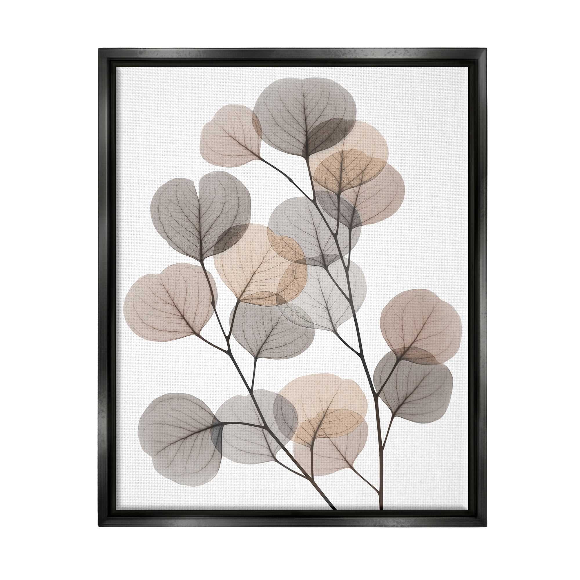 Stupell Industries Modern Eucalyptus Leaf Stems Translucent Brown Grey Leaves Jet Black Framed Floating Canvas Wall Art, 16x20, by Albert Koetsier
