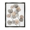 thumbnail image 1 of Stupell Industries Modern Eucalyptus Leaf Stems Translucent Brown Grey Leaves Jet Black Framed Floating Canvas Wall Art, 16x20, by Albert Koetsier, 1 of 5