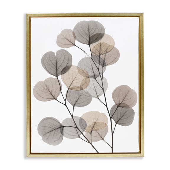 Stupell Industries Bohemian Modern Eucalyptus Leaf Stems Translucent Brown Grey Leaves Gold Floating Frame Canvas Art, 25 x 31, by Albert Koetsier
