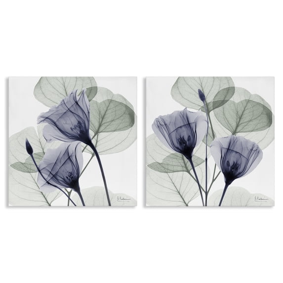 Stupell Industries Modern Fading Florals & Herbs 2pc Canvas Art Set, 17 x 17 each, by Albert Koetsier