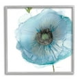 thumbnail image 1 of Stupell Industries Modern Floral Poppy Shape Graphic Art Gray Framed Art Print Wall Art, Design by Carol Robinson, 1 of 7