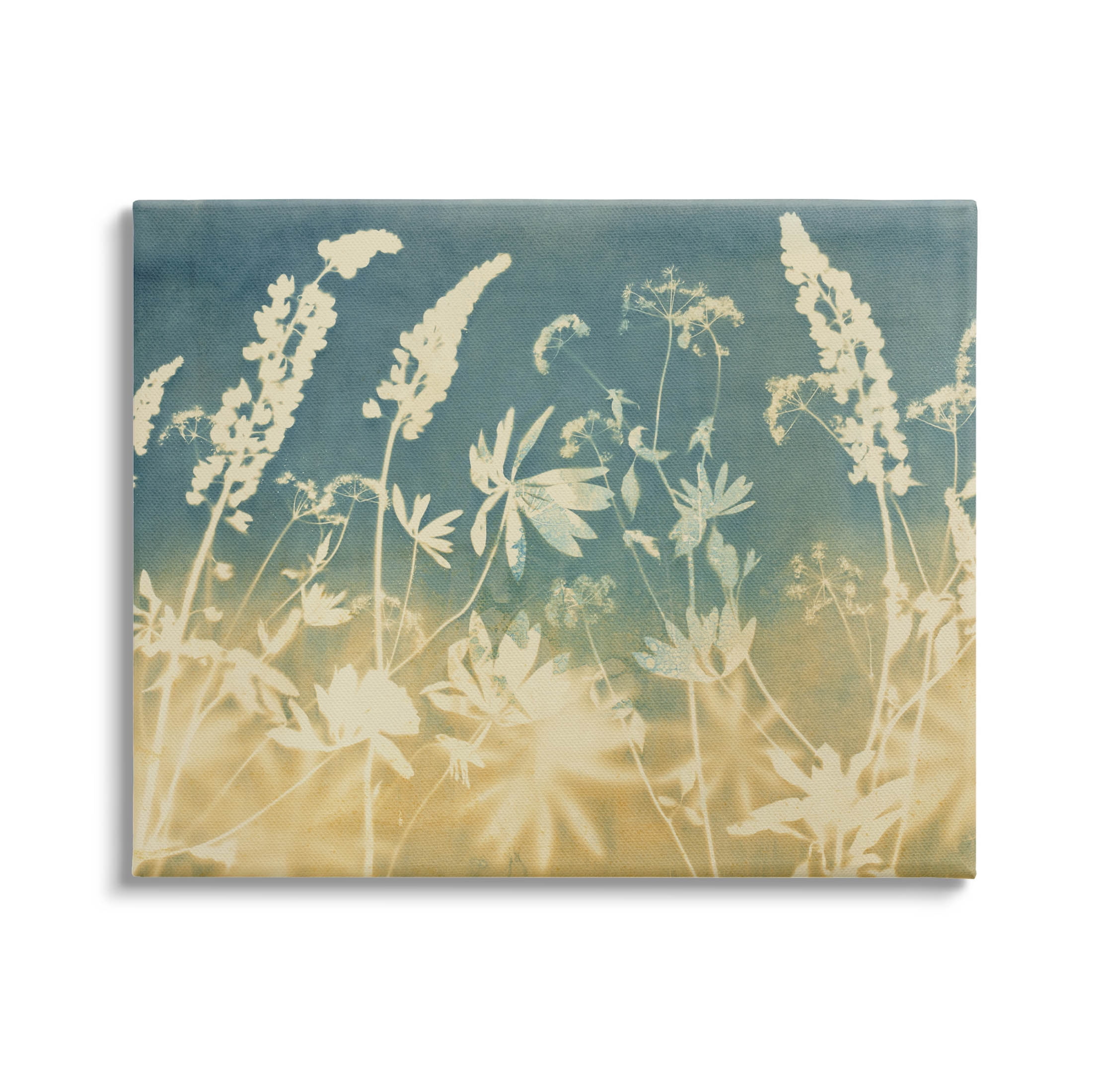 Stupell Industries Modern Flower Meadow Botanicals Graphic Art Gallery Wrapped Canvas Print Wall Art, Design by Liz St. Andre