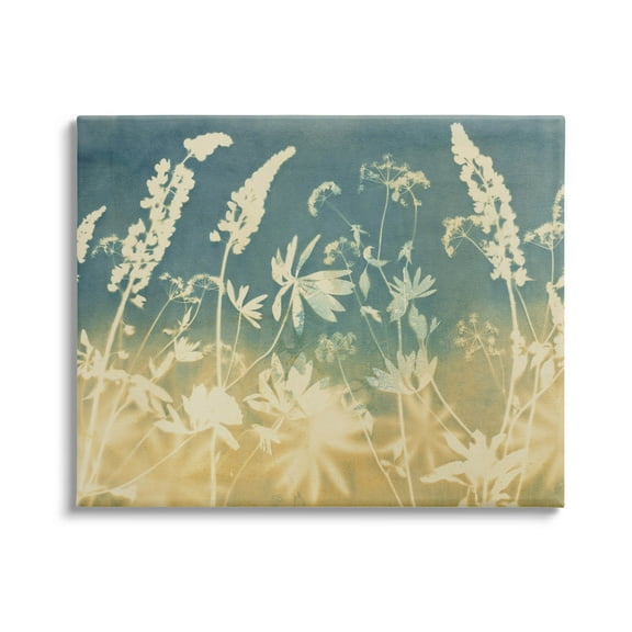 Stupell Industries Modern Flower Meadow Botanicals Graphic Art Gallery Wrapped Canvas Print Wall Art, Design by Liz St. Andre