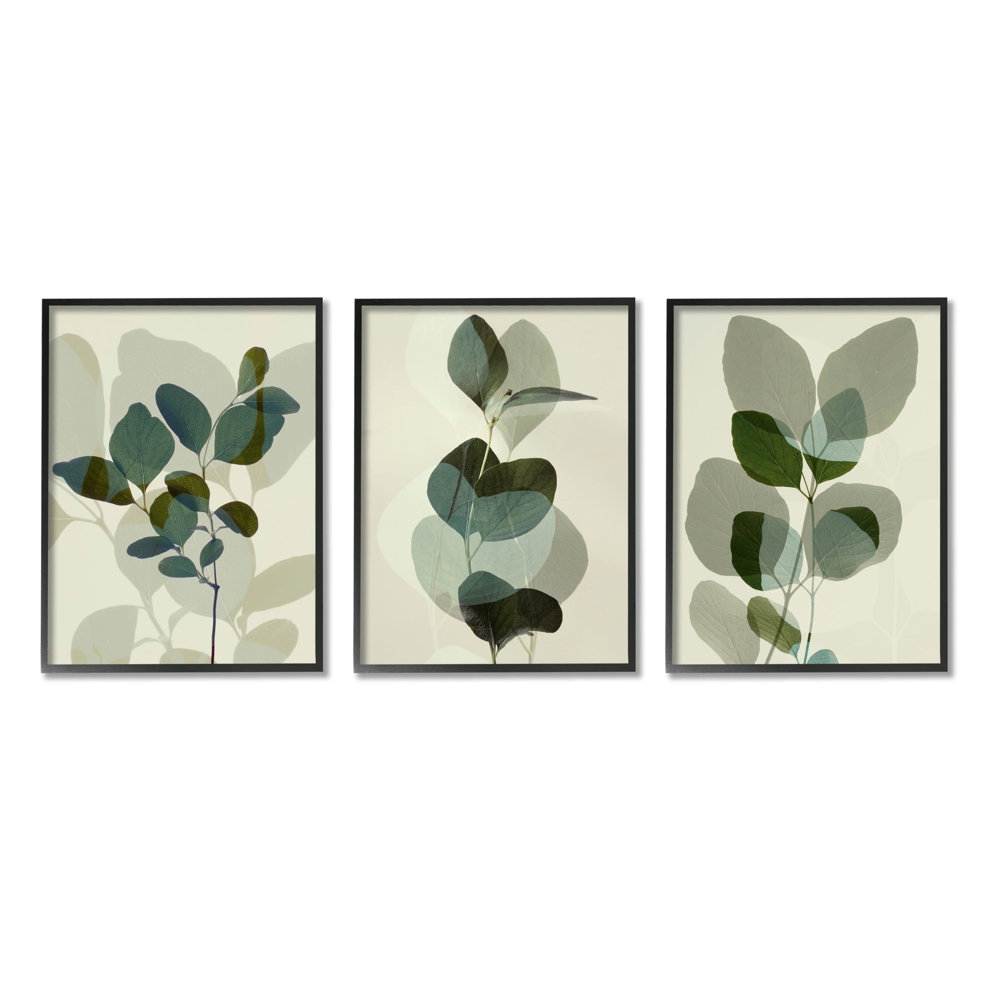 Stupell Industries Modern Forest Plant Photography Overlapping Foliage Shadows, 16 x 20, Design by Ian Winstanley