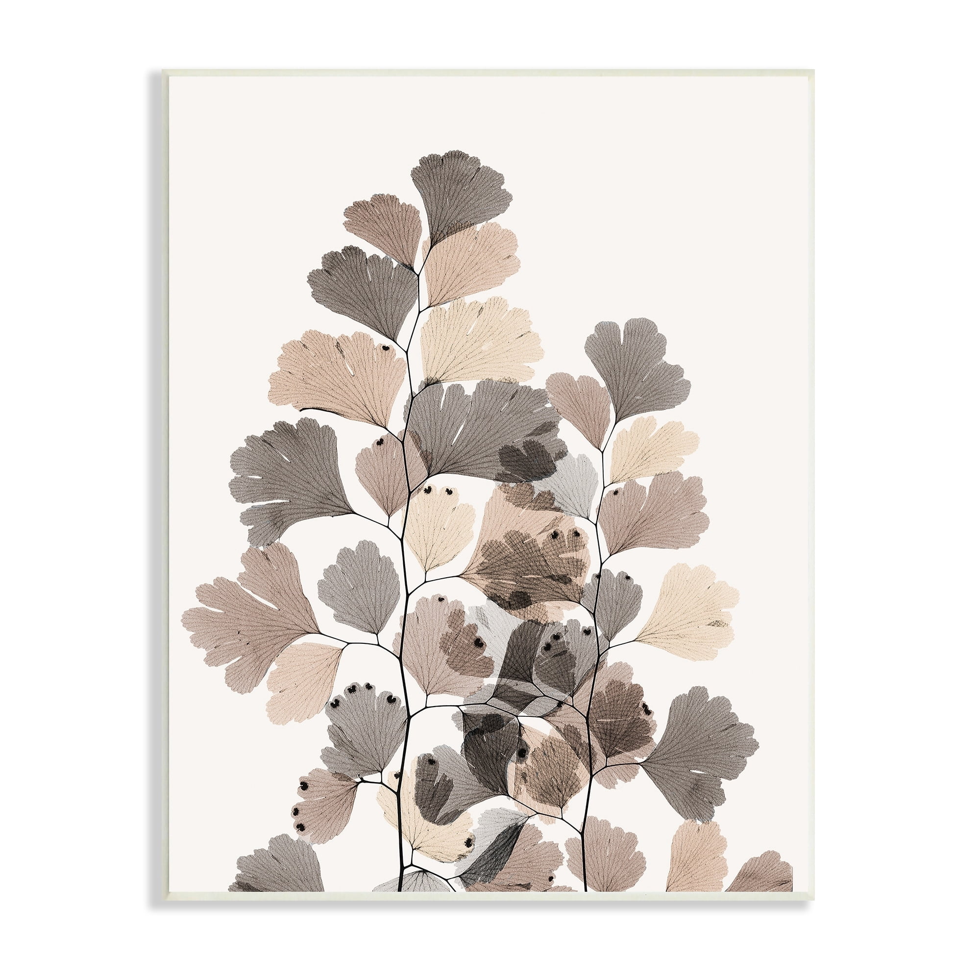 Stupell Industries Modern Ginkgo Leaf Arrangement Translucent Brown Grey Leaves, 13 x 19,Design by Albert Koetsier