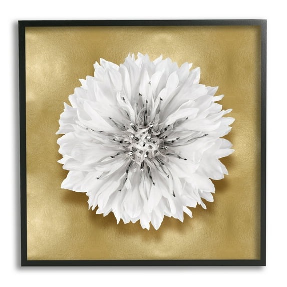 Stupell Industries Modern Glam Dahlia Botanical & Floral Painting Black Framed Art Print Wall Art, 12 x 12