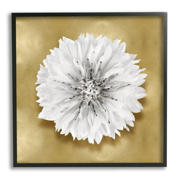 Stupell Industries Modern Glam Dahlia Botanical & Floral Painting Black Framed Art Print Wall Art, 12 x 12