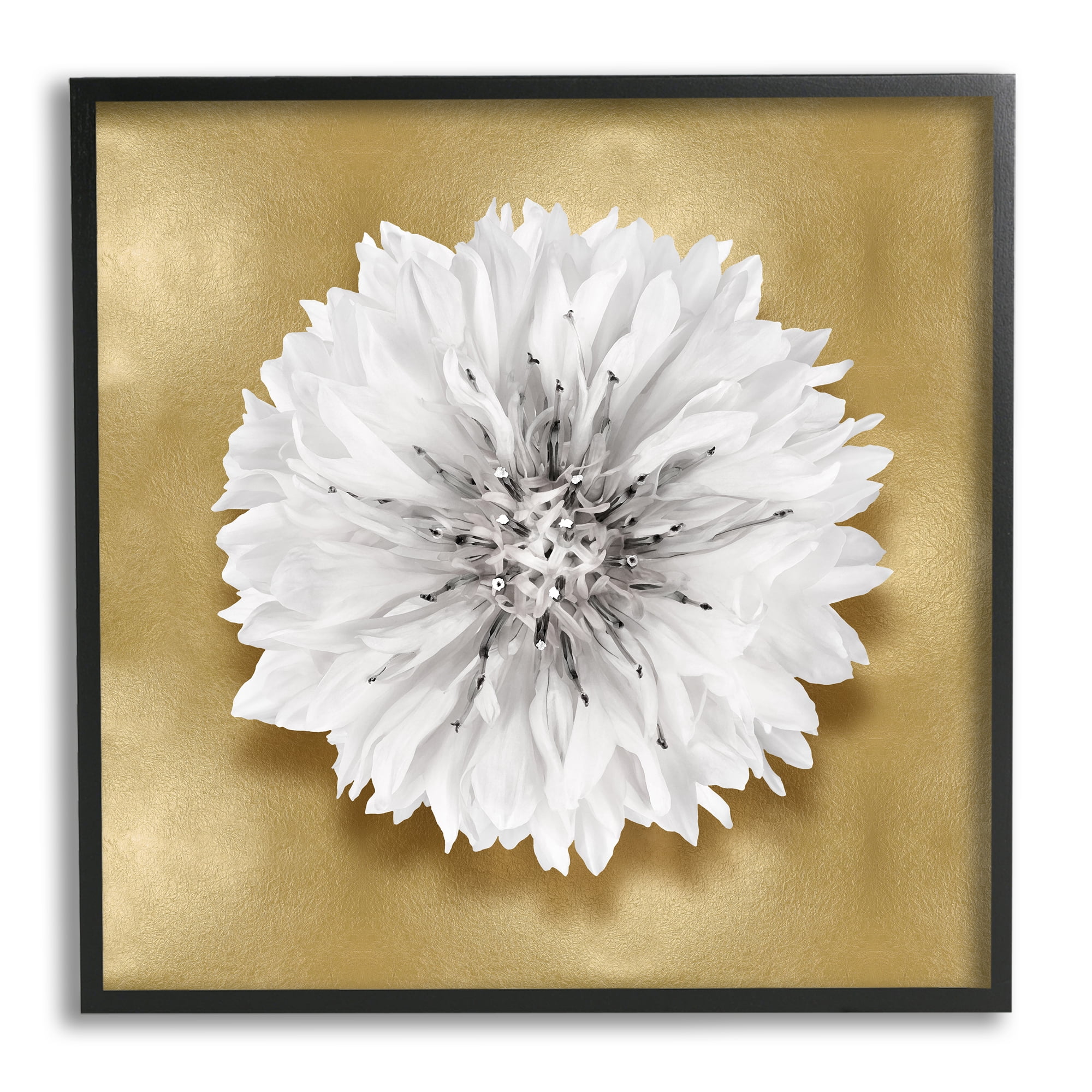 Stupell Industries Modern Glam Dahlia Botanical & Floral Painting Black Framed Art Print Wall Art, 17 x 17