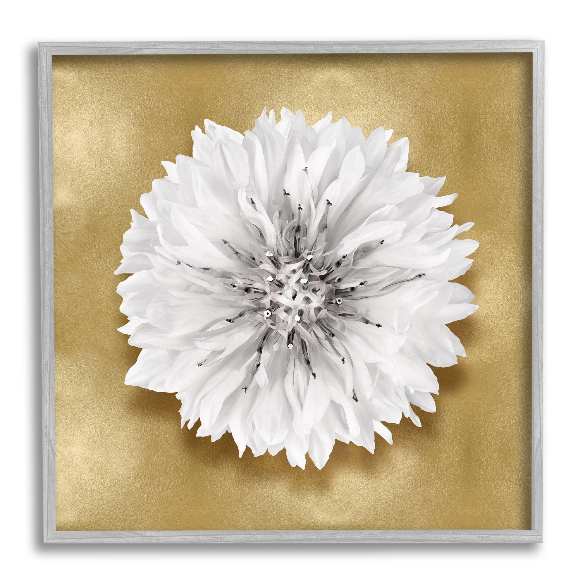 Stupell Industries Modern Glam Dahlia Botanical & Floral Painting Gray Framed Art Print Wall Art, 12 x 12