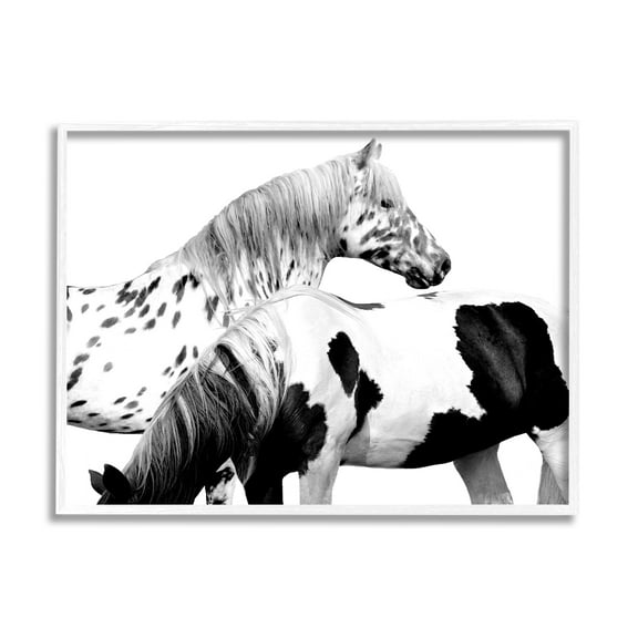 Stupell Industries Modern Grazing Speckled Horses Black White Photography, 14 x 11,Design by Samantha Carter