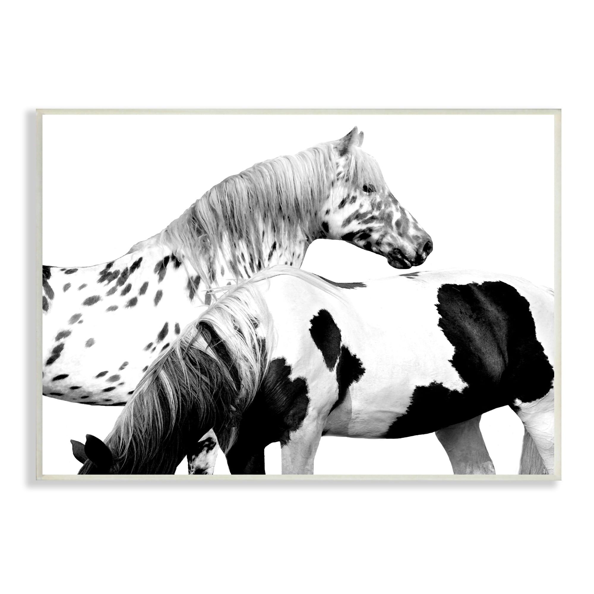 Stupell Industries Modern Grazing Speckled Horses Black White Photography, 15 x 10,Design by Samantha Carter