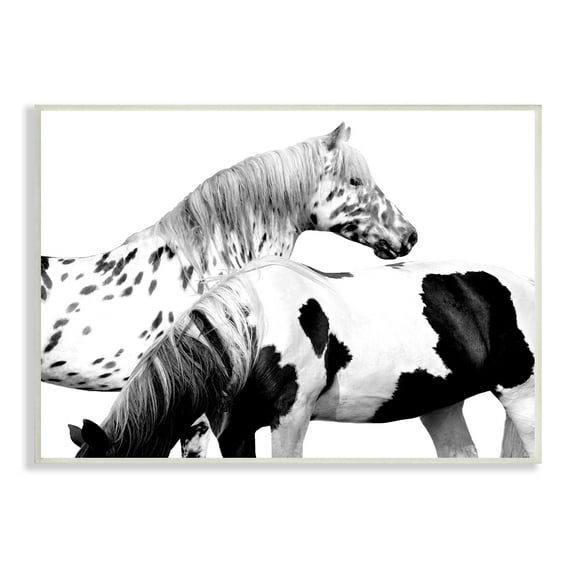 Stupell Industries Modern Grazing Speckled Horses Black White Photography, 19 x 13,Design by Samantha Carter