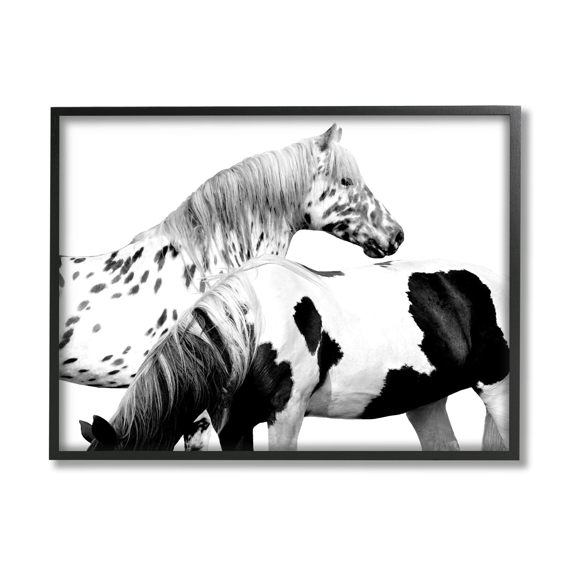 Stupell Industries Modern Grazing Speckled Horses Black White Photography, 20 x 16,Design by Samantha Carter