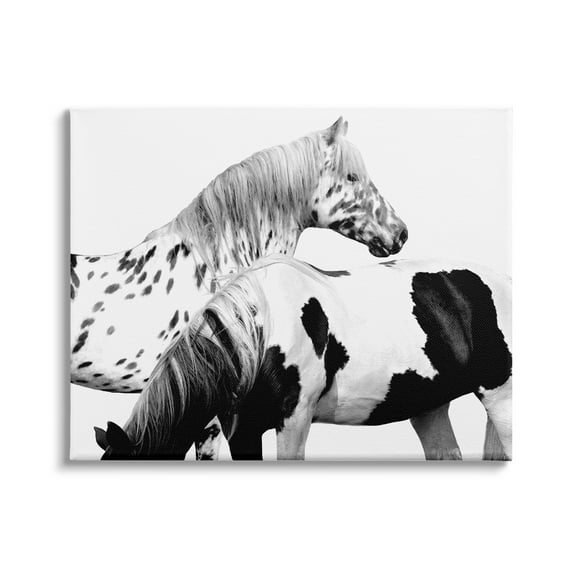 Stupell Industries Modern Grazing Speckled Horses Black White Photography, 30 x 24,Design by Samantha Carter
