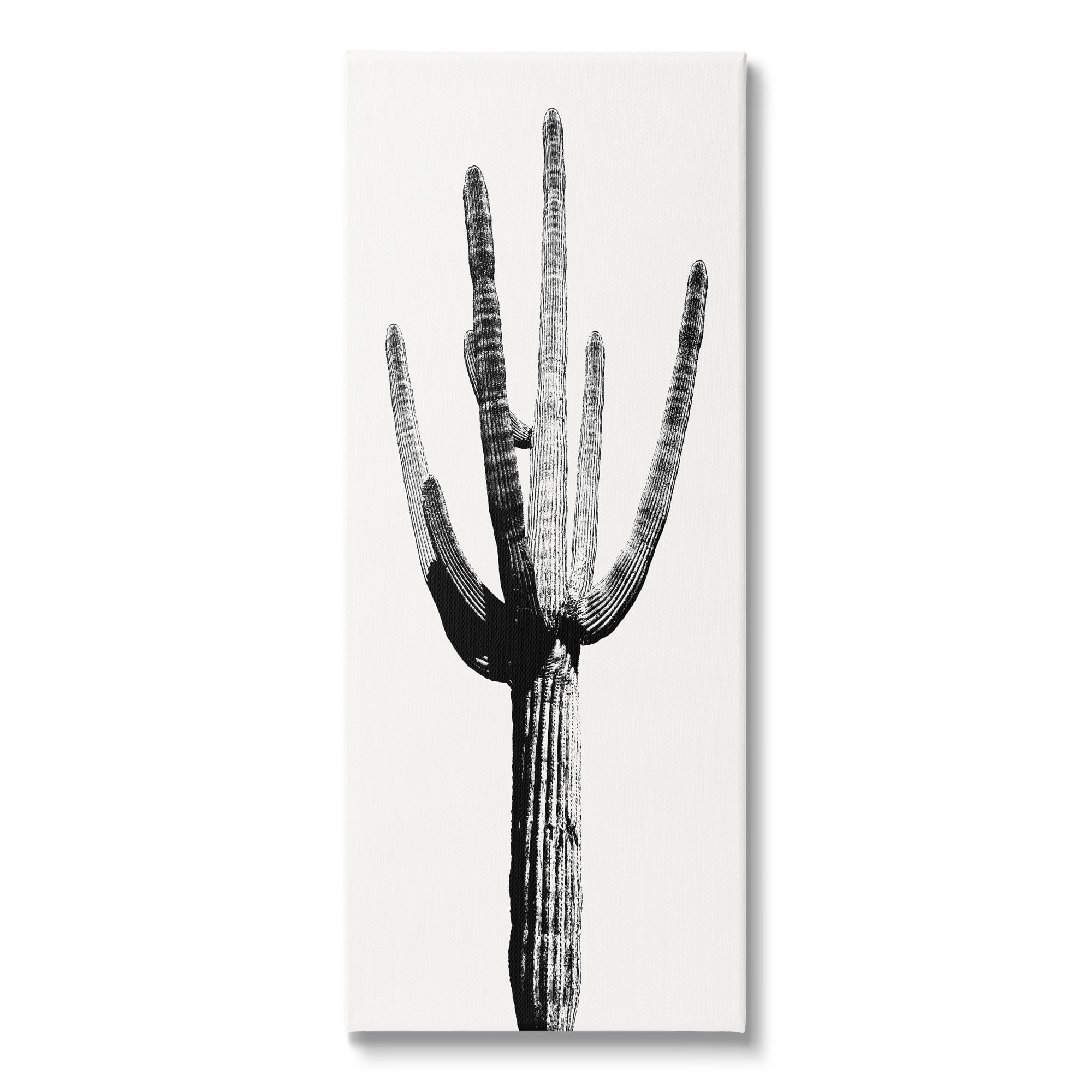 Stupell Industries Modern Grey Cactus Botanical & Floral Painting Gallery Wrapped Canvas Print Wall Art, 17 x 40