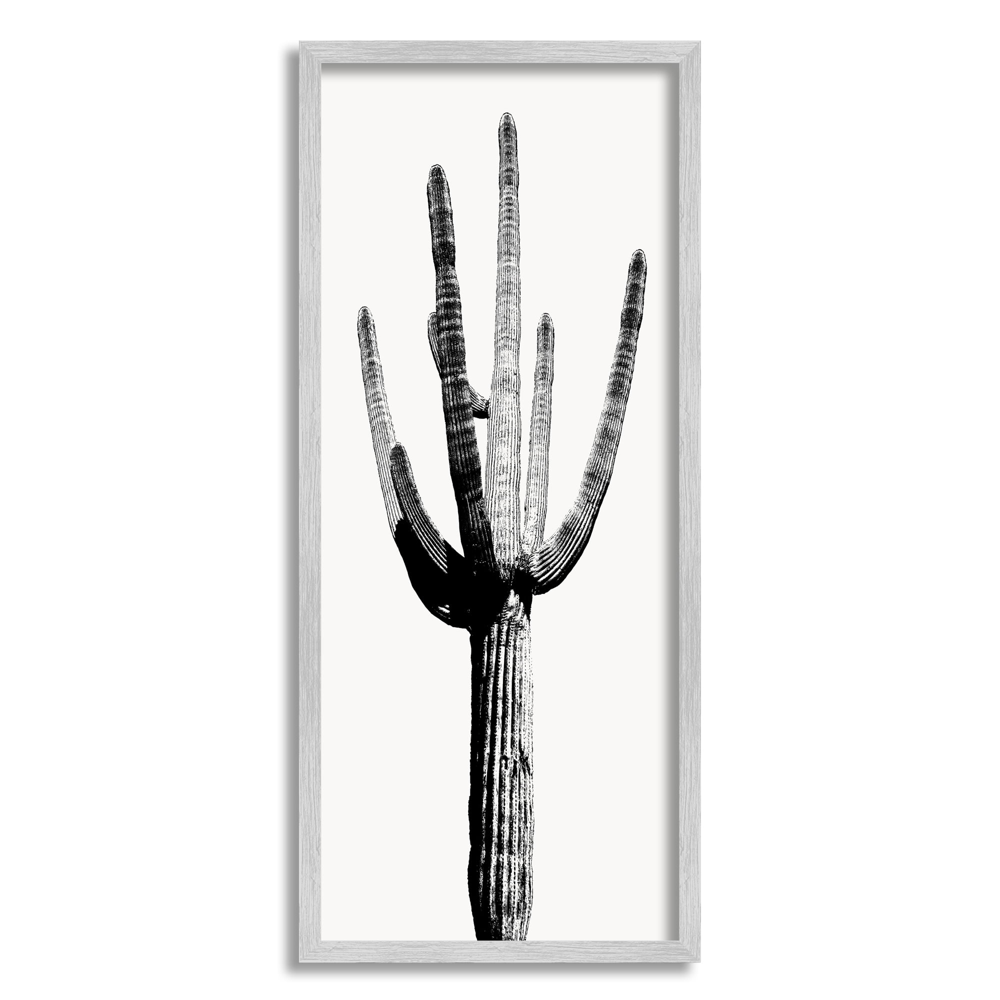 Stupell Industries Modern Grey Cactus Botanical & Floral Painting Gray Framed Art Print Wall Art, 13 x 30