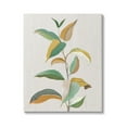 thumbnail image 1 of Stupell Industries Modern Herb Leaves Botanical & Floral Painting Gallery Wrapped Canvas Art Print Wall Art, 24 x 30, 1 of 8