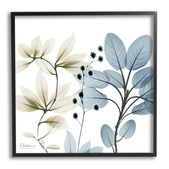 Stupell Industries Modern Herb Sprigs Botanical & Floral Painting Black Framed Art Print Wall Art, 17 x 17