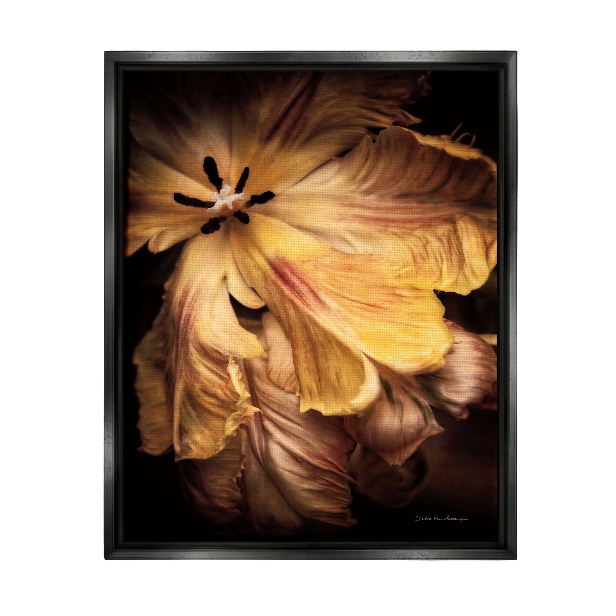 Stupell Industries Modern Hibiscus Photography Botanical & Floral Photography Black Floater Framed Art Print Wall Art, 25 x 31