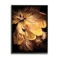 thumbnail image 1 of Stupell Industries Modern Hibiscus Photography Botanical & Floral Photography Black Framed Art Print Wall Art, 11 x 14, 1 of 8
