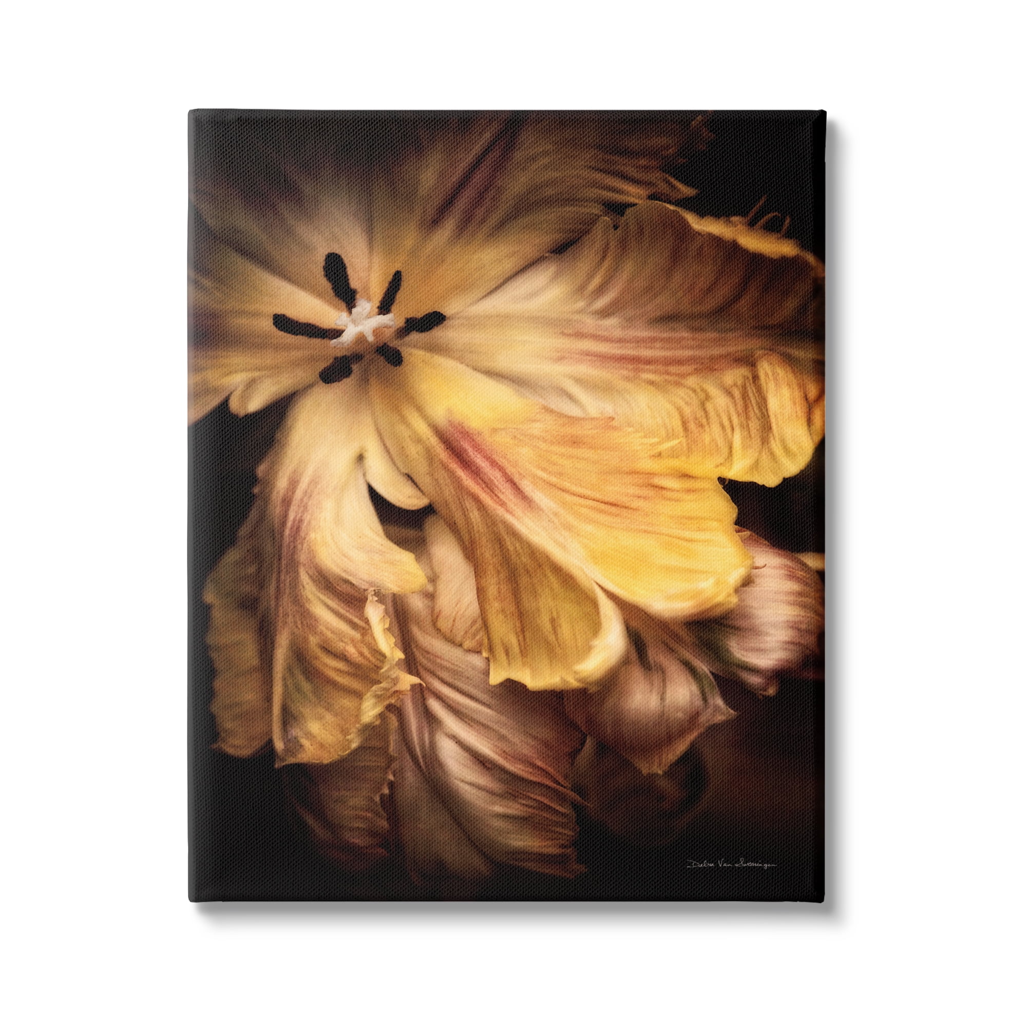 Stupell Industries Modern Hibiscus Photography Botanical & Floral Photography Gallery Wrapped Canvas Print Wall Art, 30 x 40
