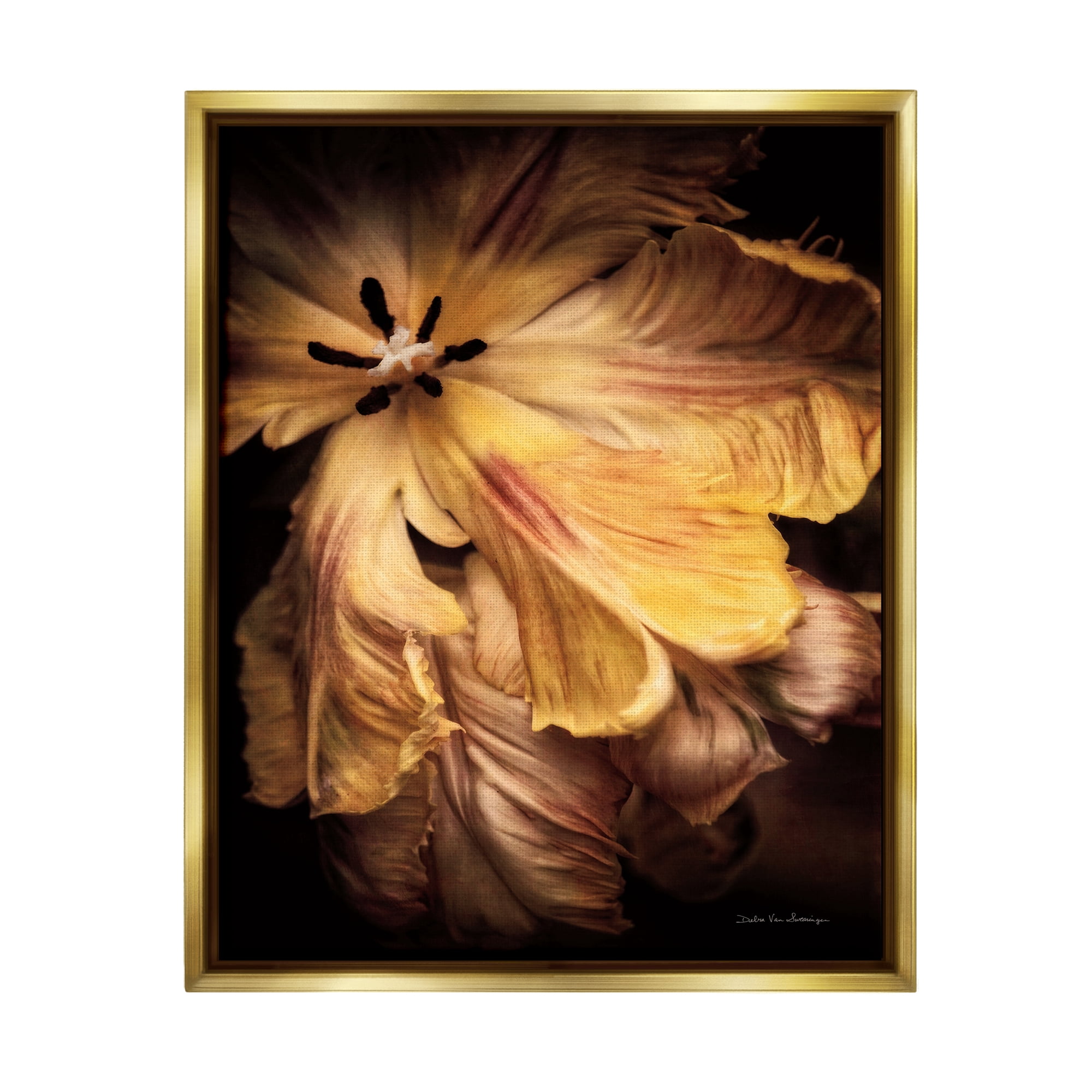 Stupell Industries Modern Hibiscus Photography Botanical & Floral Photography Gold Floater Framed Art Print Wall Art, 17 x 21