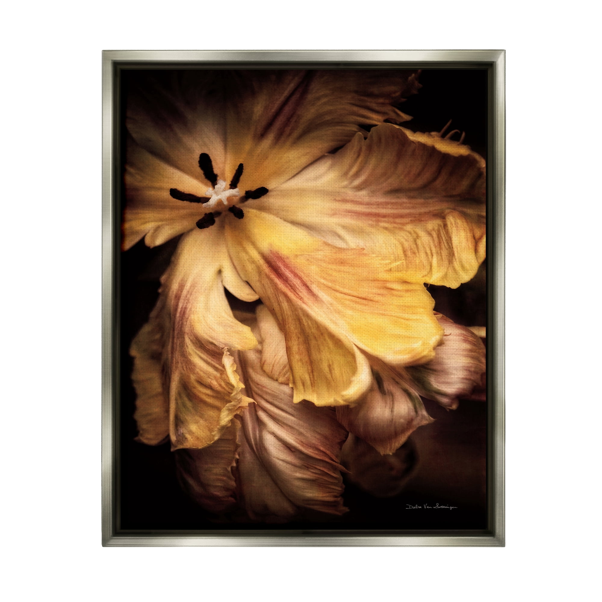 Stupell Industries Modern Hibiscus Photography Botanical & Floral Photography Gray Floater Framed Art Print Wall Art, 17 x 21
