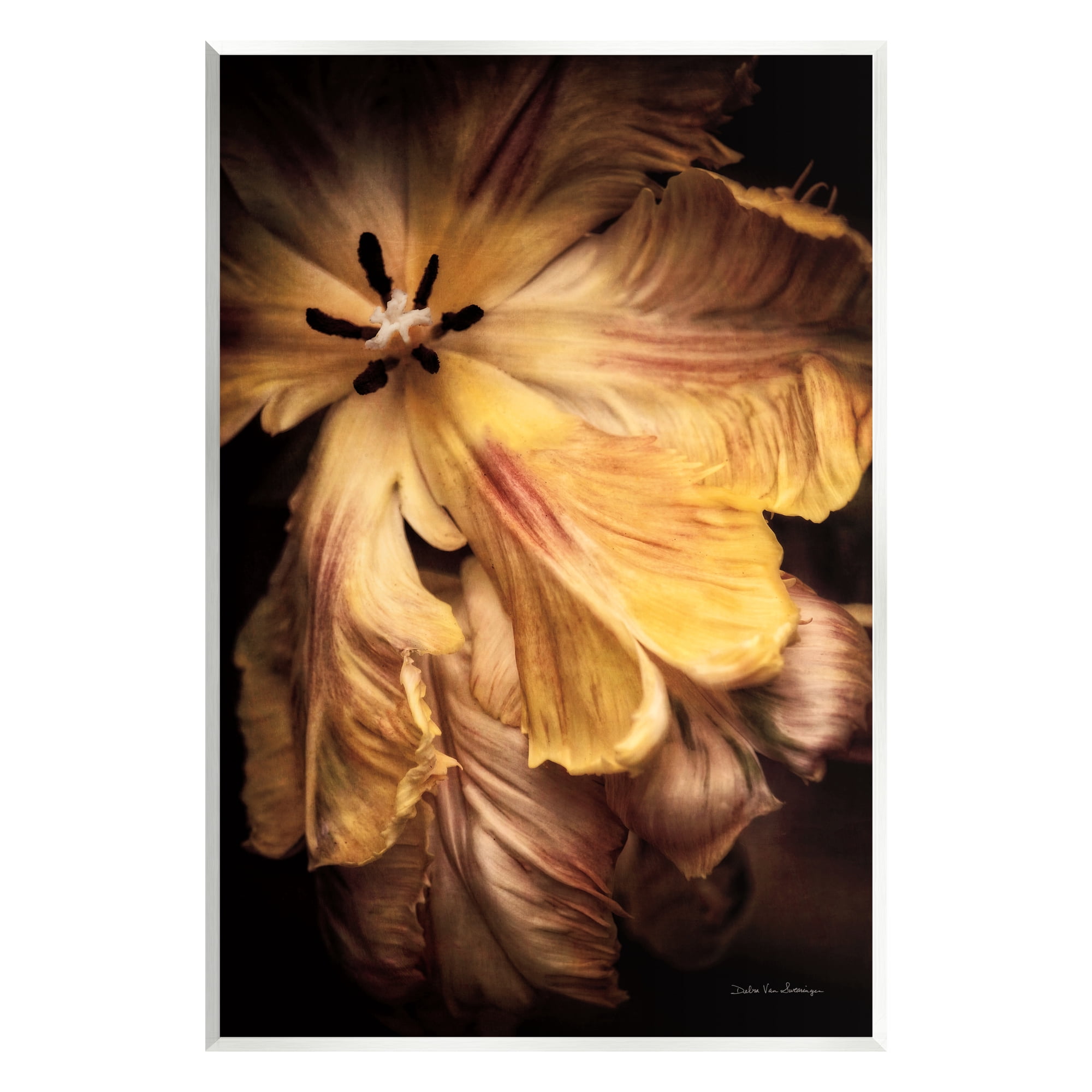 Stupell Industries Modern Hibiscus Photography Botanical & Floral Photography Unframed Art Print Wall Art, 10 x 15