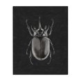 thumbnail image 1 of Stupell Industries Modern Horned Beetle Minimal Black Canvas Art, 16 x 20, by Ziwei Li, 1 of 7