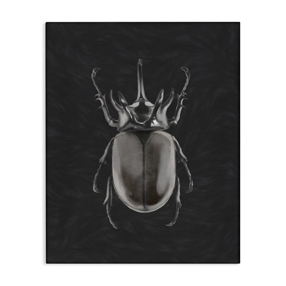 Stupell Industries Modern Horned Beetle Minimal Black Canvas Art, 16 x 20, by Ziwei Li