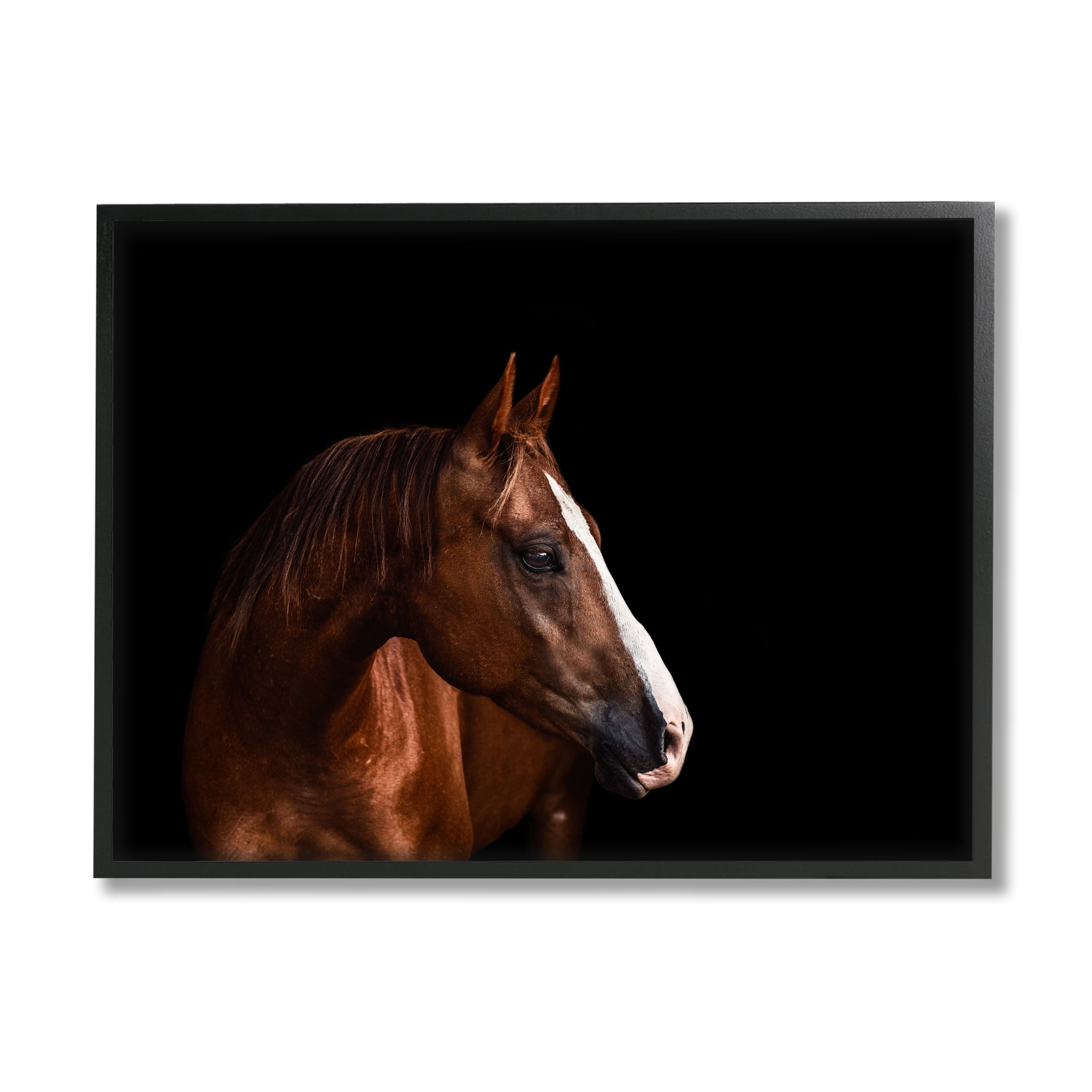 Stupell Industries Modern Horse Portrait Solemn Farm Animal Animals & Insects Photography Black Framed Art Print Wall Art, 11 x 14