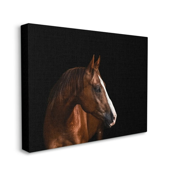 Stupell Industries Modern Horse Portrait Solemn Farm Animal Animals & Insects Photography Gallery Wrapped Canvas Print Wall Art, 16 x 20