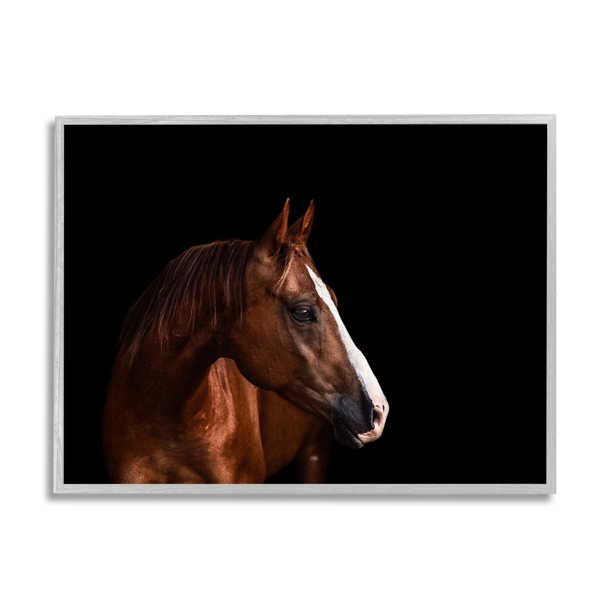 Stupell Industries Modern Horse Portrait Solemn Farm Animal Animals & Insects Photography Gray Framed Art Print Wall Art, 16 x 20
