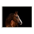 thumbnail image 1 of Stupell Industries Modern Horse Portrait Solemn Farm Animal Animals & Insects Photography Unframed Art Print Wall Art, 13 x 19, 1 of 6
